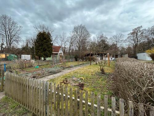 Foto - Gepflegter Kleingarten in Merseburg