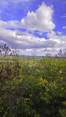 Foto - Etagenwohnung in Amöneburg