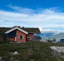 Ferienhaus in Norwegen (Vrådal) - Taarstedt