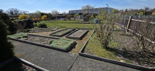 Foto - Grundst&uuml;ck zur Miete in Radeburg