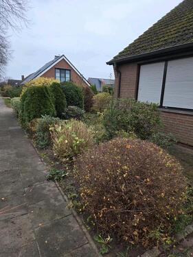 Foto - Einfamilienhaus in Glückstadt zum Kaufen