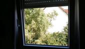 Foto - Ruhige Eigentumswohnung im Grünen in St.Wendel zu verkaufen