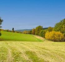 AUKTION: 0,4 ha Landwirtschaftsfläche - Bad Elster