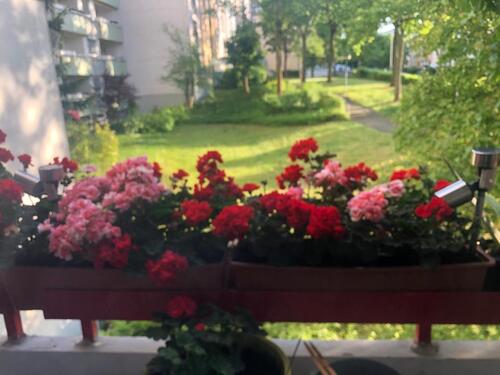 Foto - Sehr schöne 3 Zimmer Wohnung zum verkaufen direkt von Eigentum