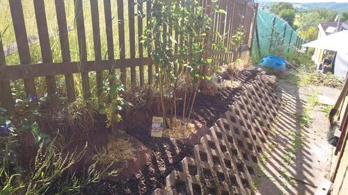 Foto - Grundstück in Dresden zur Miete