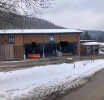 Halle mit 132 m² zu vermieten – vielseitig nutzbar - Biedenkopf