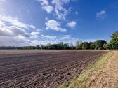 Foto - AUKTION: rd. 0,3 ha Acker- und Grünland