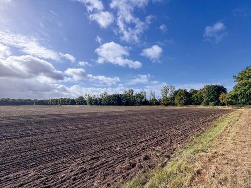 Foto - AUKTION: rd. 0,3 ha Acker- und Grünland
