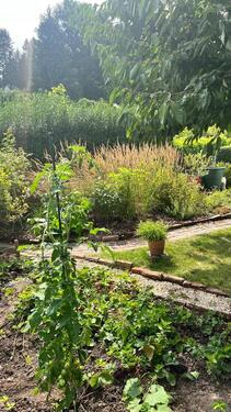 Foto - Grundstück in Dresden zur Miete