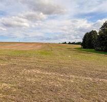 AUKTION: 1,3 ha Ackerflächen - 4.000,00 EUR Kaltmiete, ca.  0,00 m² in Markersdorf (PLZ: 02829)