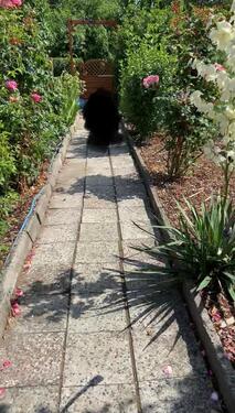 Foto - Grundst&uuml;ck zur Miete in Radebeul