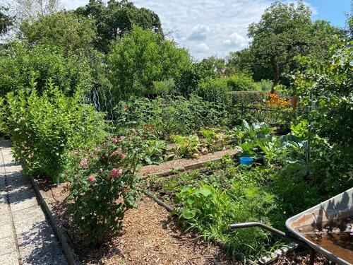 Foto - Grundst&uuml;ck in Radebeul zur Miete