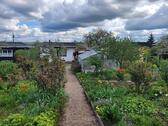 Foto - Schrebergarten, KGA Harmonie in Zwickau Marienthal