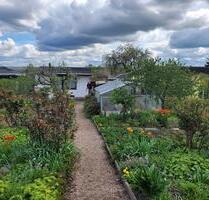 Schrebergarten, KGA Harmonie in Zwickau Marienthal - Meerane