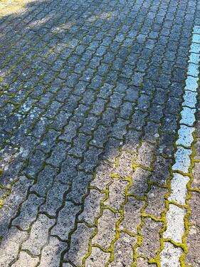 Foto - andere zur Miete in Bad Liebenzell