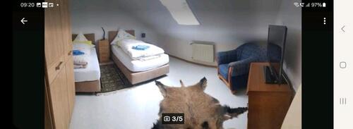 Foto - andere in Bergen zur Miete