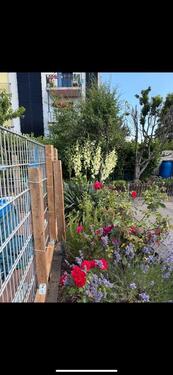 Foto - Garten strebergarten - 4.500,00&nbsp;EUR Kaltmiete, ca.&nbsp; 0,00&nbsp;m&sup2;