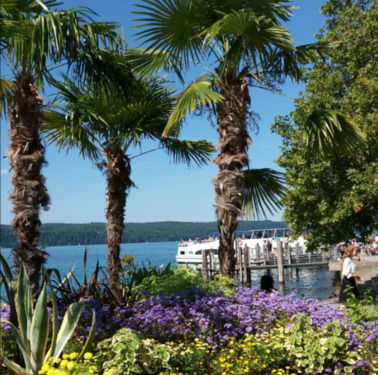 Foto - Urlaub auf dem Bauernhof, große Ferienwohnung, nähe Bodensee