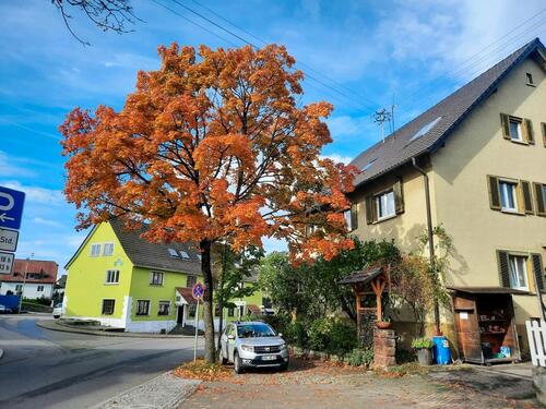 Foto - gelegenheit in affalterbach.haus mit 3 wohnungen 2350m2 platz