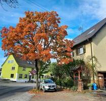 gelegenheit in affalterbach.haus mit 3 wohnungen 2350m2 platz