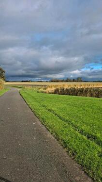 Foto - 3.5 Zimmer Erdgeschoßwohnung in Norden