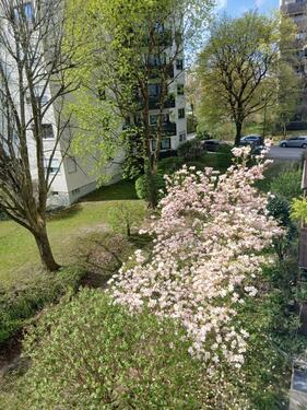 Foto - 5 Zimmer Etagenwohnung zum Kaufen in Ebersberg