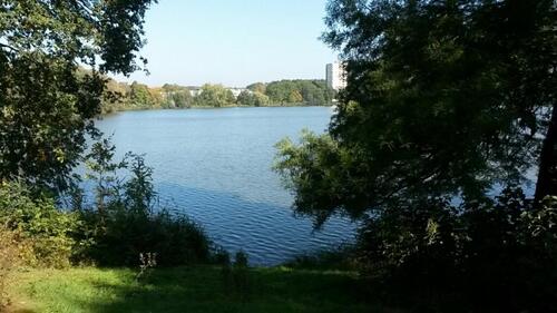 Foto - Etagenwohnung in Wolfsburg zur Miete