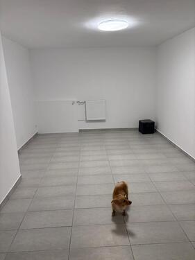 Foto - Wohnung zum vermieten - 990,00 EUR Kaltmiete, ca.  79,00 m²