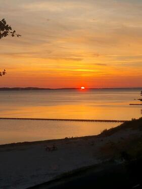 Foto - andere in Bergen auf Rügen zur Miete
