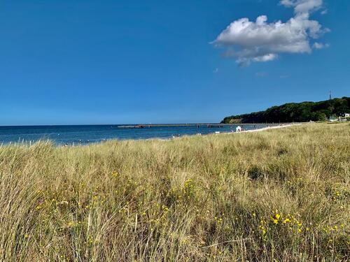 Foto - andere in Sellin