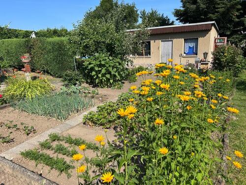 Foto - Garten Kleingarten Schrebergarten