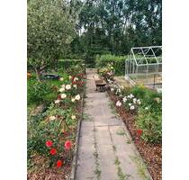 Pirna- Feistenberg Pachtgarten OHNE Kleingartenverband - Heidenau