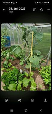 Foto - Grundst&uuml;ck in Heidenau zur Miete