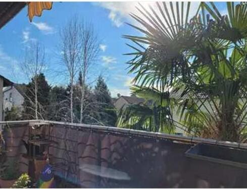 Foto - 3 Zimmer Etagenwohnung zur Miete in Altrip