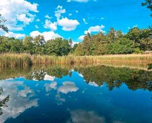 Ferienhaus am Waldsee - 115,00&nbsp;EUR Kaltmiete, in Schönebeck (Elbe) (PLZ: 39217) Pretzien