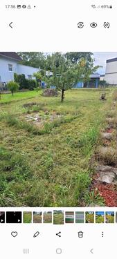 Foto - Garten zu verpachten - Mülheim-Kärlich