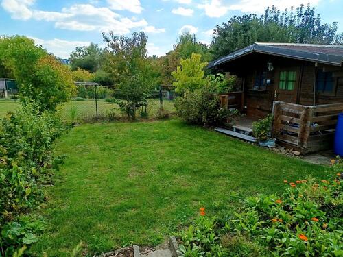 Foto - Kleingarten, Garten, Steepenweg