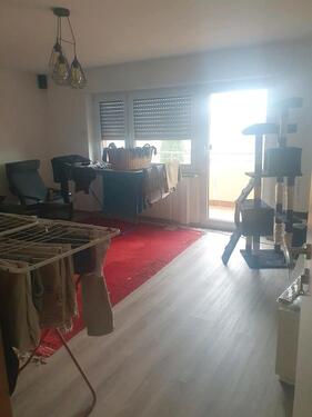 Foto - Etagenwohnung in Neuenburg am Rhein zur Miete