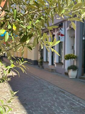 Foto - Wohnung -Buschstraße Schwerin - 850,00 EUR Kaltmiete,