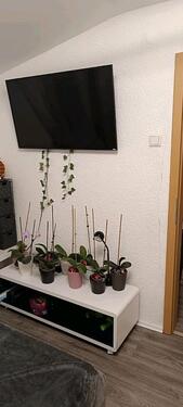 Foto - 1 Zimmer Etagenwohnung in Kaiserslautern