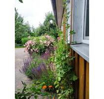 Ostsee Darß Nähe Zingst Ferienhaus Nähe Barth