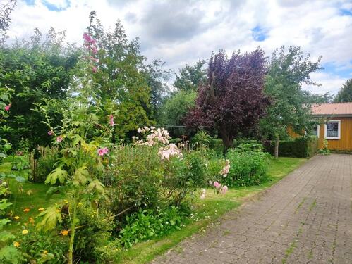 Foto - andere in Barth zur Miete