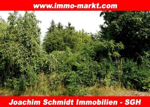 Foto - Wenn weg, dann weg: Wochenendgrundstück in 06526 Sangerhausen (LK MSH)