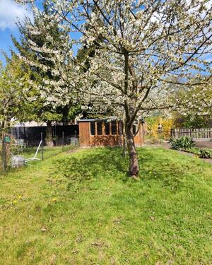 Foto - Etagenwohnung zur Miete in Olbersdorf