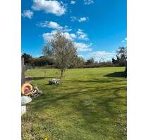 Grundstück 1432 qm + Haus 2022-23 Umbau - Mönchengladbach West