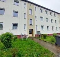 Hier hinein! Herrliche Hildebrandstraße - Braunschweig Lehndorf-Watenbüttel