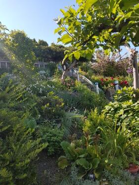 Foto - Grundst&uuml;ck in Oschatz