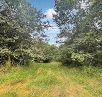 Baubeginn sofort möglich: hochinteressantes, erschlossenes Grundstück in ruhiger Lage von Kusel