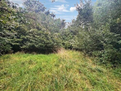 Foto - Grundst&uuml;ck in Kusel