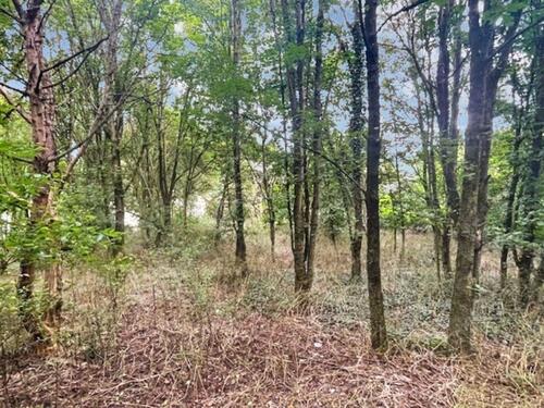 Foto - Grundst&uuml;ck in Kusel zum Kaufen